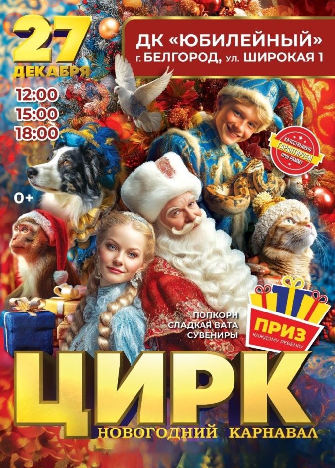 Цирк «Новогодний карнавал»