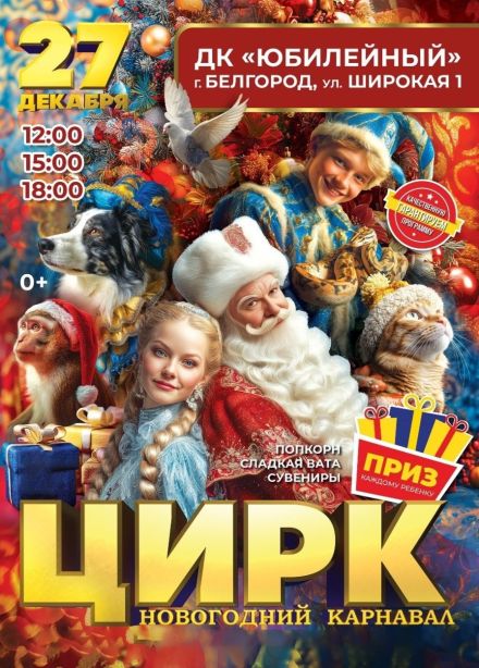 Цирк «Новогодний карнавал»