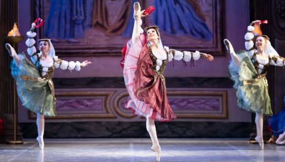 Балет «Лебединое озеро», Новый Оскол