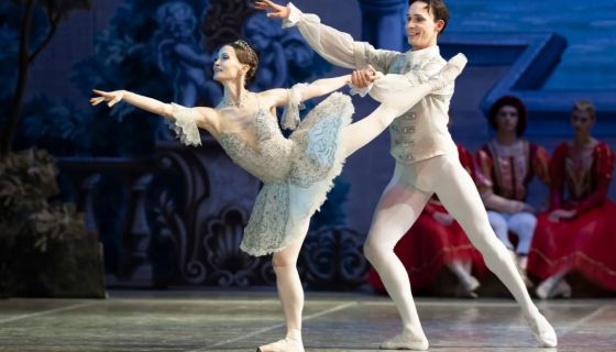 Балет «Спящая красавица», Чернянка