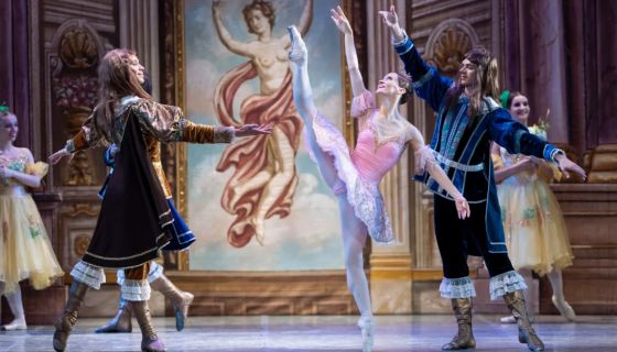 Балет «Спящая красавица», Чернянка