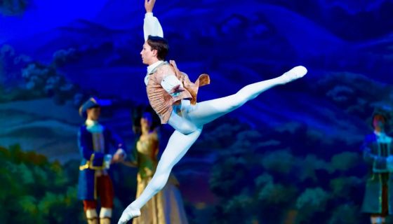 Балет «Спящая красавица», Чернянка