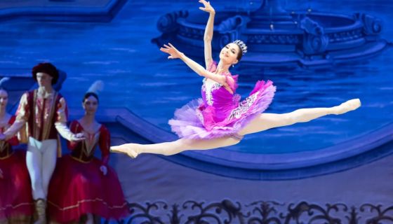 Балет «Спящая красавица», Чернянка