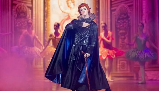 Балет «Спящая красавица», Чернянка