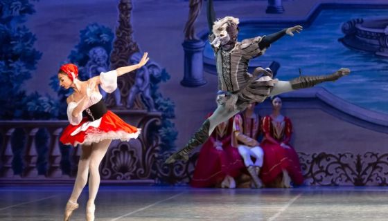 Балет «Спящая красавица», Чернянка