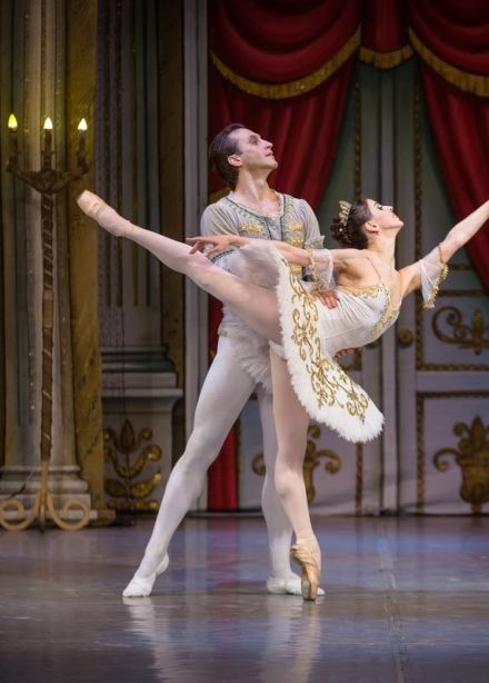 Лебединое озеро